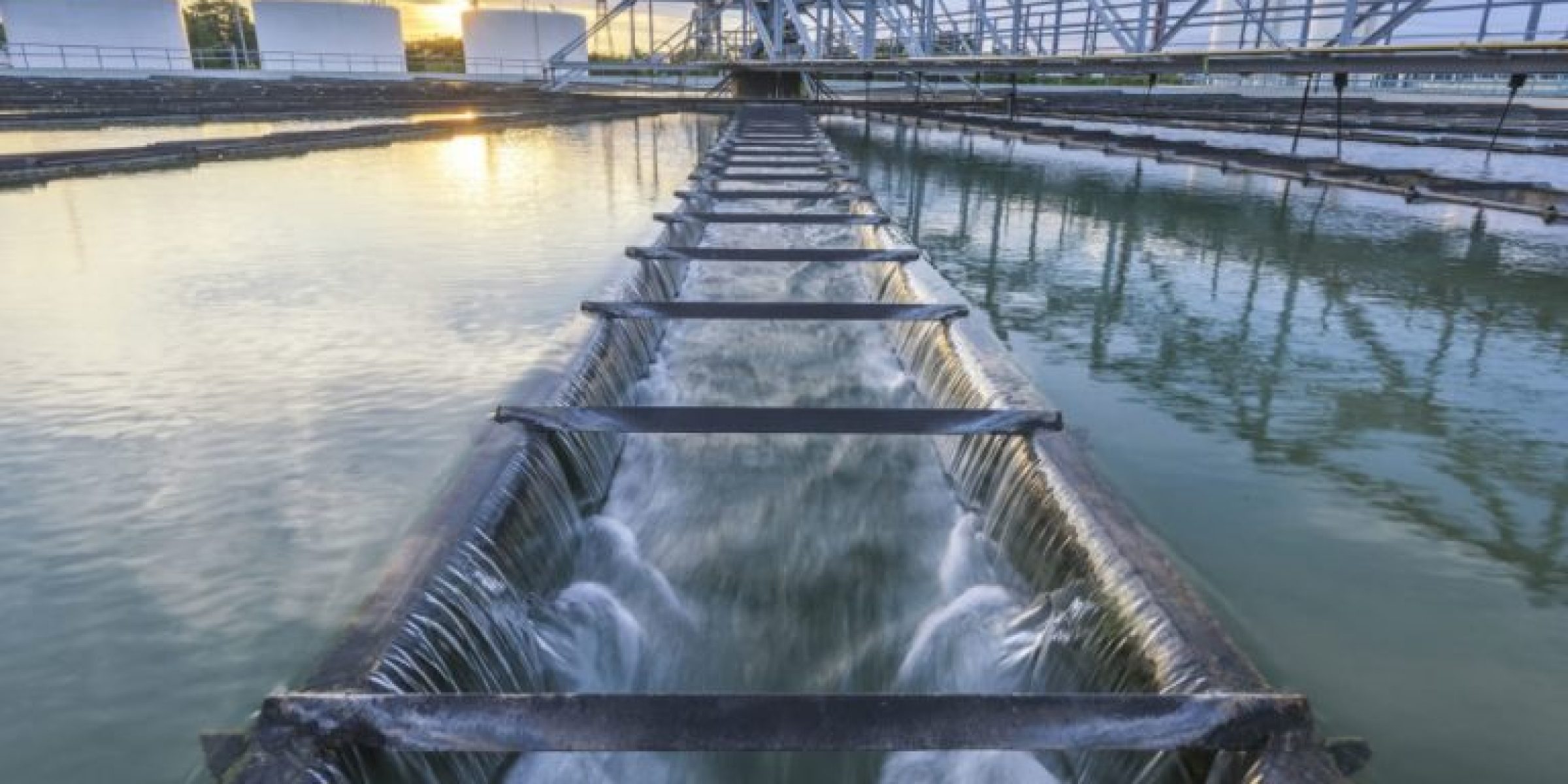 MUNICIPAL WATER SERVICES